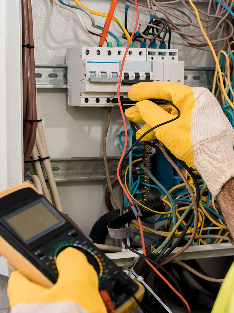 arximastors_pinakas_3